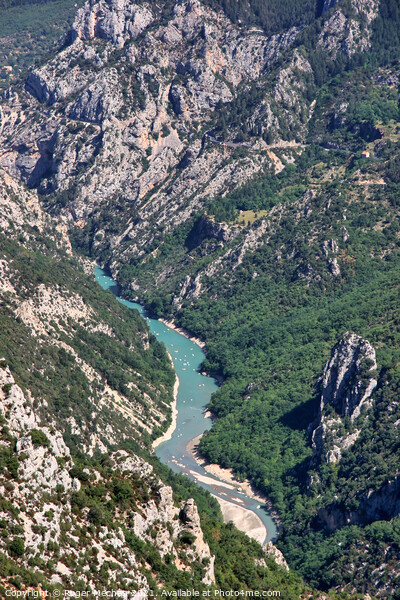 Turquoise Serpent in Verdon Gorge Picture Board by Roger Mechan
