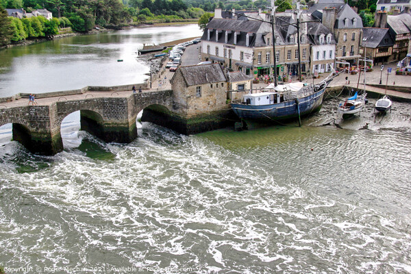 Auray's Ancient River Race Picture Board by Roger Mechan
