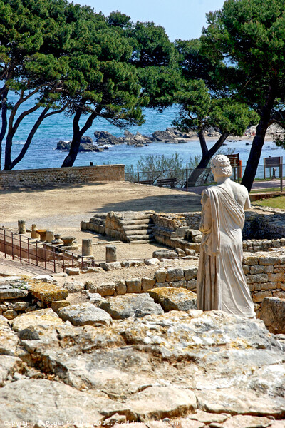 Overlooking the Ancient Empuries Picture Board by Roger Mechan