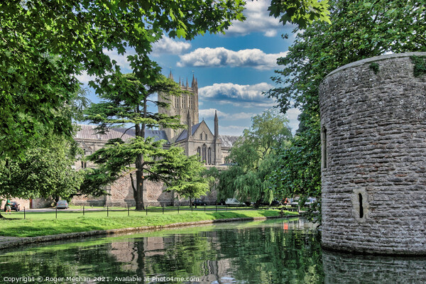 Enchanting Wells Cathedral Moat Picture Board by Roger Mechan