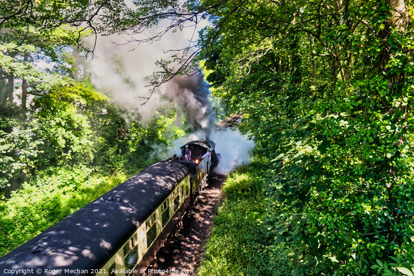 Enchanting Steam Train Journey Picture Board by Roger Mechan
