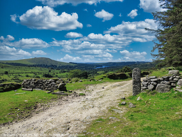 Dartmoor's Natural Majesty Picture Board by Roger Mechan