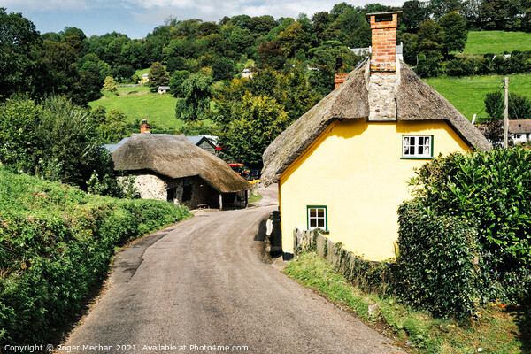 Serene Devon Thatched Cottage Picture Board by Roger Mechan