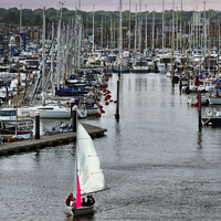 Buy canvas prints of Serene Yachting Scene by Roger Mechan