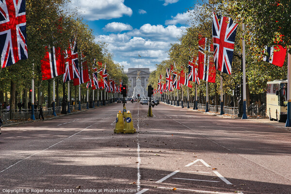 Regal Flags on The Mall Picture Board by Roger Mechan