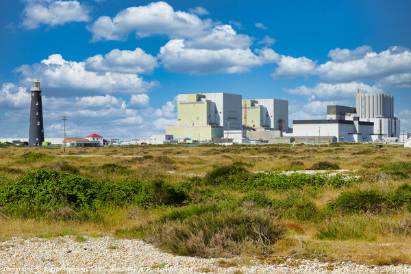 The Nuclear Power of Dungeness Picture Board by Roger Mechan