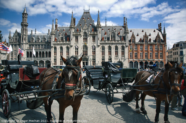 Bruges' Baroque City Hall and Horse-Drawn Charm Picture Board by Roger Mechan