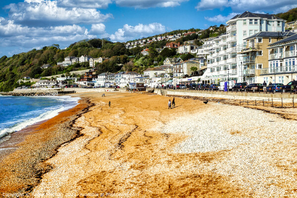 Ventnor seafront Isle of Wight Picture Board by Roger Mechan