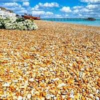 Buy canvas prints of Golden Shingle Beach at Deal Kent by Roger Mechan