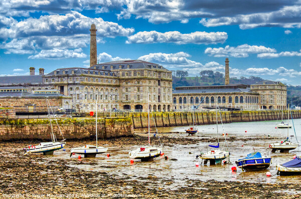 Serenity at Royal William Yard Picture Board by Roger Mechan