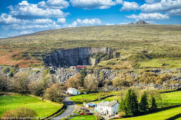 Treasures of Merrivale Quarry Picture Board by Roger Mechan