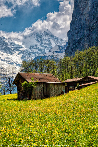 Golden Path to Swiss Alps Picture Board by Roger Mechan