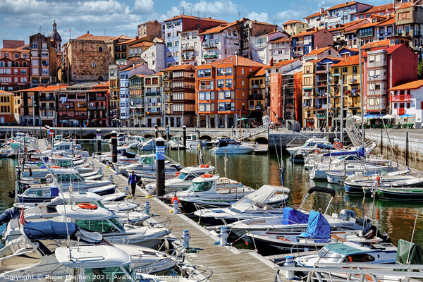 Charming Quayside in Bermeo Picture Board by Roger Mechan