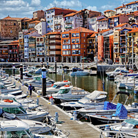 Buy canvas prints of Charming Quayside in Bermeo by Roger Mechan
