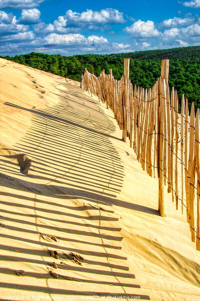 The Mighty Sand Dune of Arcachon Picture Board by Roger Mechan
