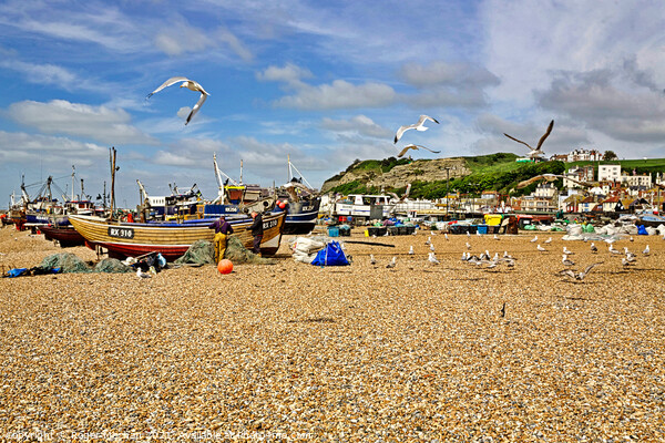 Fishing Boats and Seagulls Picture Board by Roger Mechan