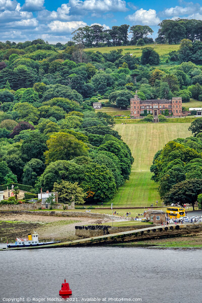 Serenity in Mount Edgcumbe Picture Board by Roger Mechan