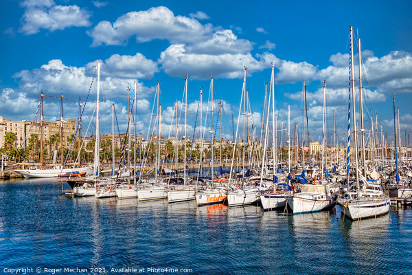 Serene Yachting Marina in Barcelona Picture Board by Roger Mechan