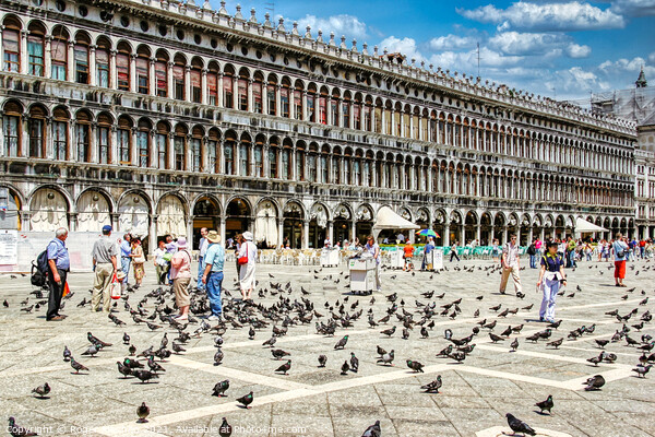 Piazza San Marco's Bird Feeding Frenzy Picture Board by Roger Mechan
