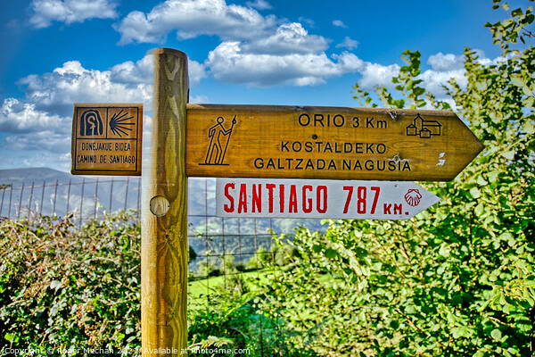 The Sacred Path to Santiago Picture Board by Roger Mechan