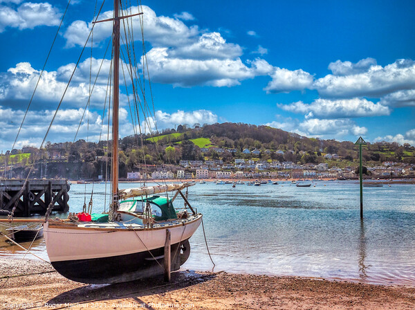 Serenity at Teignmouth Estuary Picture Board by Roger Mechan