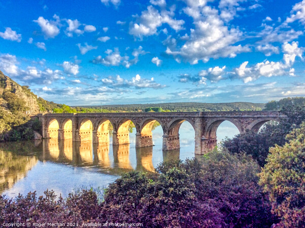 Serene Bridge over Lush Reservoir Picture Board by Roger Mechan