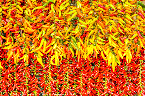 Bright and Spicy Peppers Picture Board by Roger Mechan
