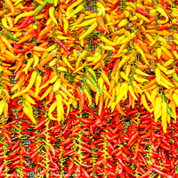 Buy canvas prints of Bright and Spicy Peppers by Roger Mechan