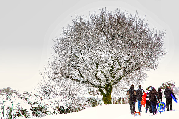 Snowy Dartmoor Wonders Picture Board by Roger Mechan