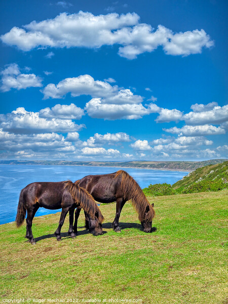 Coastal Horses Picture Board by Roger Mechan