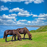 Buy canvas prints of Coastal Horses by Roger Mechan