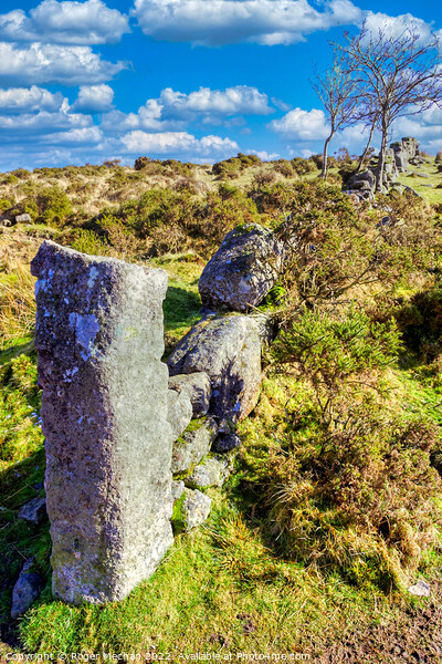 Windworn walls amidst Dartmoor's wilderness Picture Board by Roger Mechan