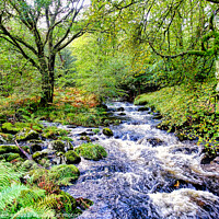 Buy canvas prints of Rushing River in Dartmoor Woodland by Roger Mechan
