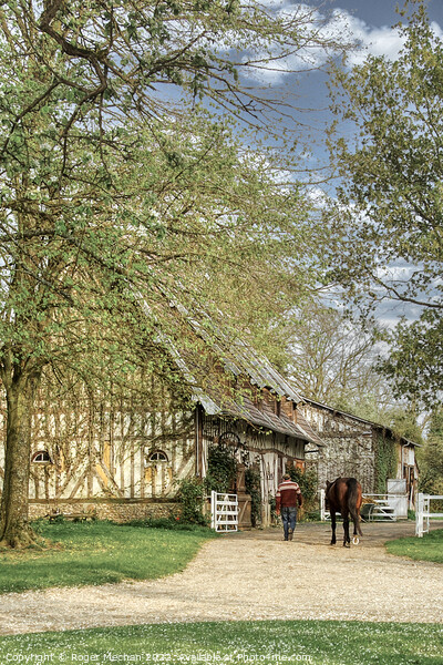 Tranquil Horse Stables in Rural Normandy Picture Board by Roger Mechan