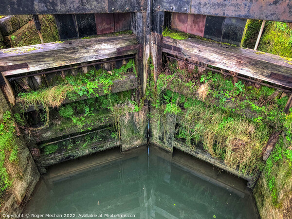 Nature Colonising the Lock Gates Picture Board by Roger Mechan