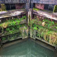 Buy canvas prints of Nature Colonising the Lock Gates by Roger Mechan