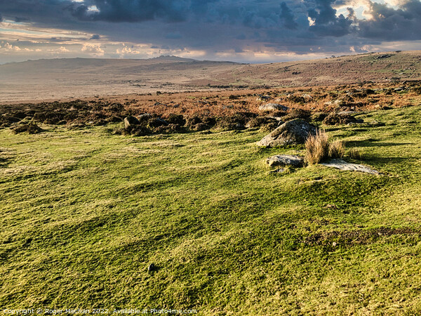 Wild Beauty of Dartmoor Picture Board by Roger Mechan