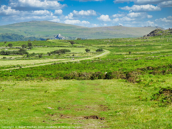 A Serpentine Track Through Dartmoor's Wild Beauty Picture Board by Roger Mechan