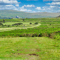 Buy canvas prints of A Serpentine Track Through Dartmoor's Wild Beauty by Roger Mechan
