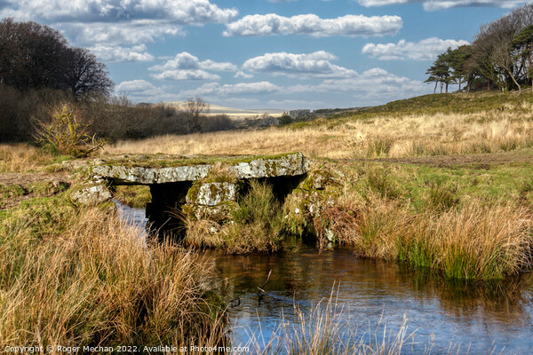 Rustic Bridge over a Former Gunpowder Factory Picture Board by Roger Mechan