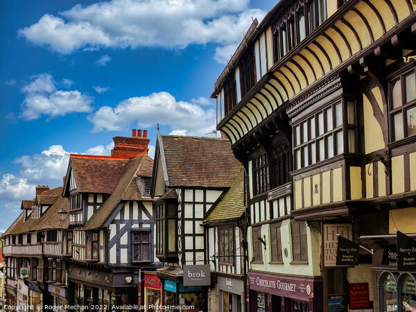 Enchanting Medieval Timber Framed Houses Picture Board by Roger Mechan
