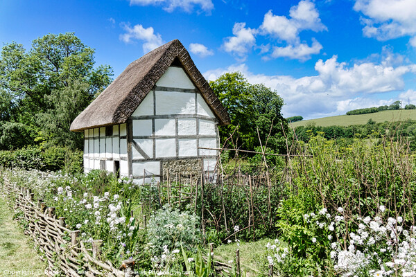 Enchanting Half-Timbered Cottage in a Blossoming G Picture Board by Roger Mechan