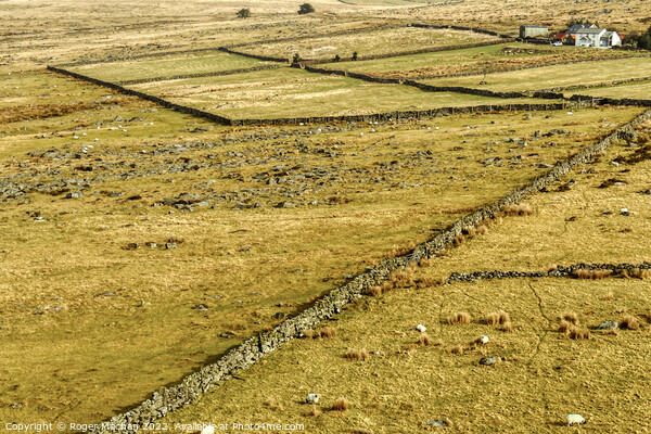 Rolling Hills of Dartmoor Picture Board by Roger Mechan