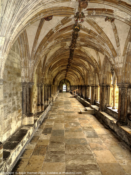 Norwich Cathedral Cloisters: A Timeless Sanctuary Picture Board by Roger Mechan