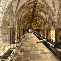 Buy canvas prints of Norwich Cathedral Cloisters: A Timeless Sanctuary by Roger Mechan