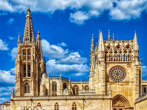 Gothic Masterpiece in Spain Picture Board by Roger Mechan
