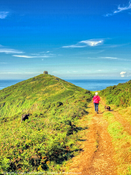 The Enchanting Chapel at Rame Head Picture Board by Roger Mechan