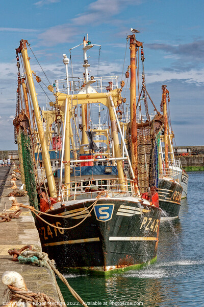 Harbour of Fishing Trawlers Picture Board by Roger Mechan