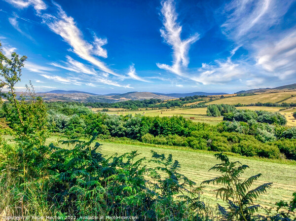 Rolling Hills and Lush Pasture Picture Board by Roger Mechan