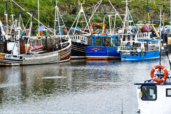 Fishing Boats at Rest Picture Board by Roger Mechan